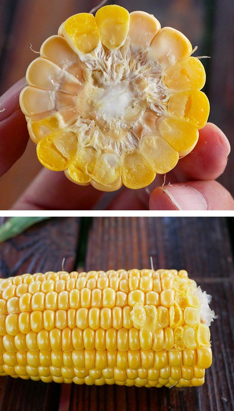闽甜208超甜水果玉米种子冰糖脆牛奶香黄糯玉米籽春秋四季蔬菜孑中鲜