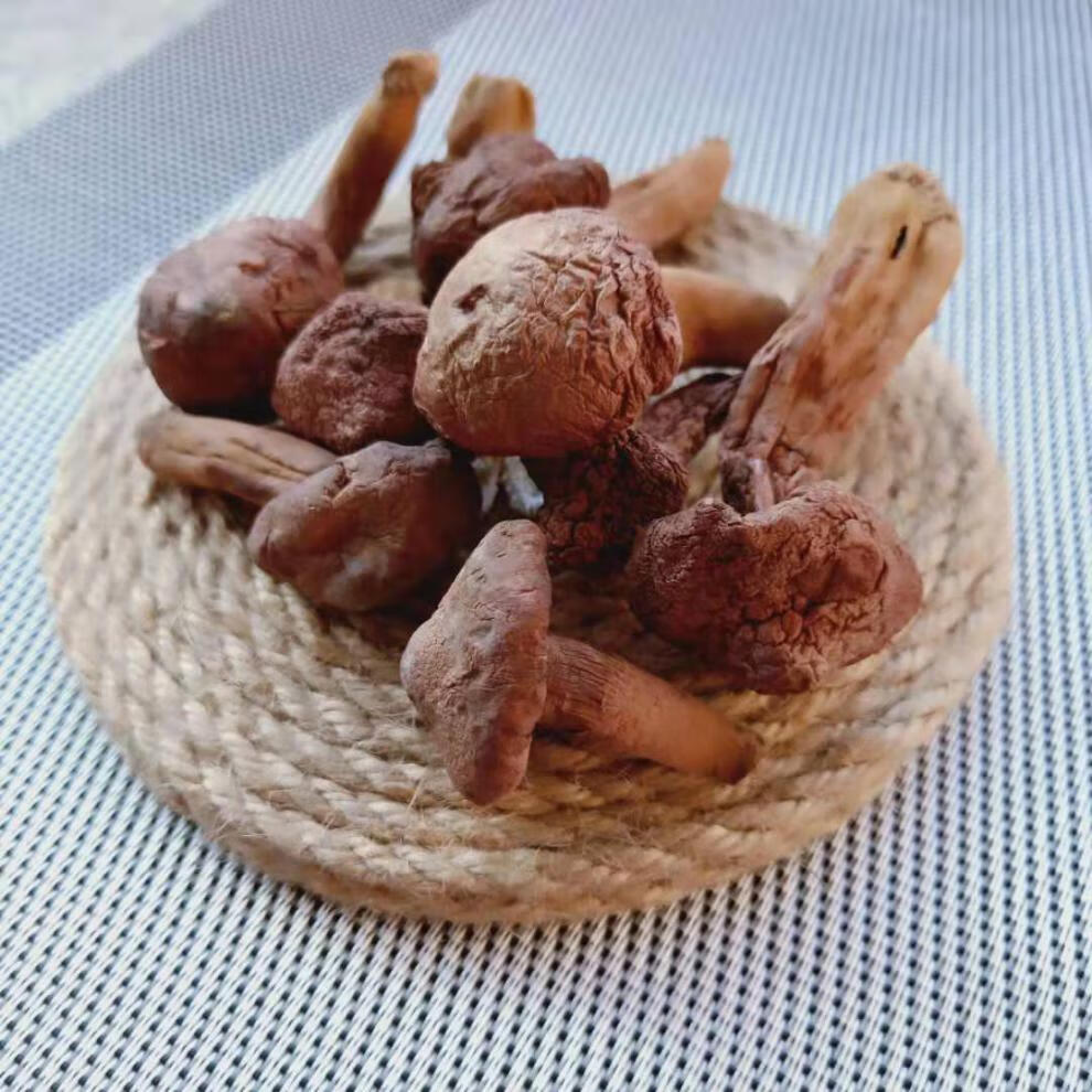 晨臻东北特产红蘑长白山纯红松伞菇新货菌菇干货松树蘑菇钉一件500克