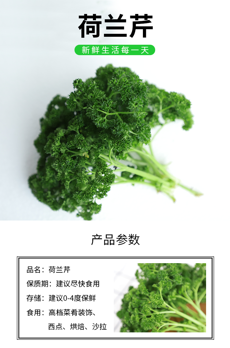 荷兰芹 皱叶欧芹叶新鲜蔬菜蕃茜洋芫荽西餐法香 500g