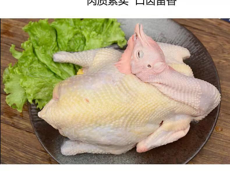 黑脚公鸡散养公鸡跑山鸡农村喂养走地鸡土鸡笨公鸡活鸡宰杀批发顺鑫贝