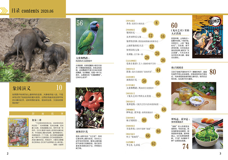 现货正版杂志蘑菇专辑博物杂志2020年7月刊第199期中国国家地理青少年