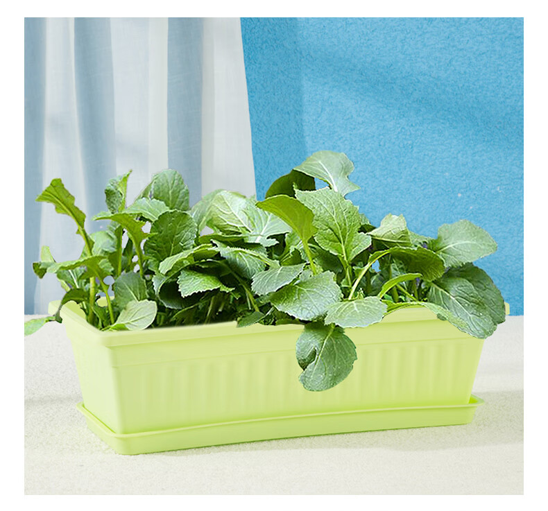 69q阳台室内蔬菜种植盆加厚塑料长方形花盆家庭种菜庭院养花盆带托盘
