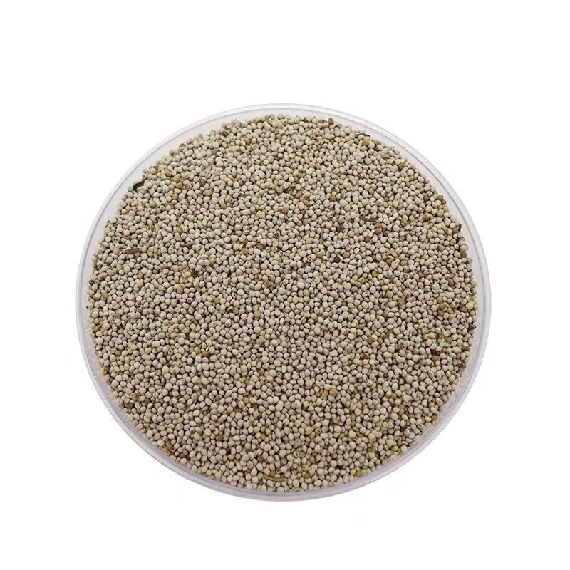 北京同仁堂 原料鸟食苏子鸟食白苏子 白苏籽 鹦鹉金丝雀芙蓉鸟玉鸟