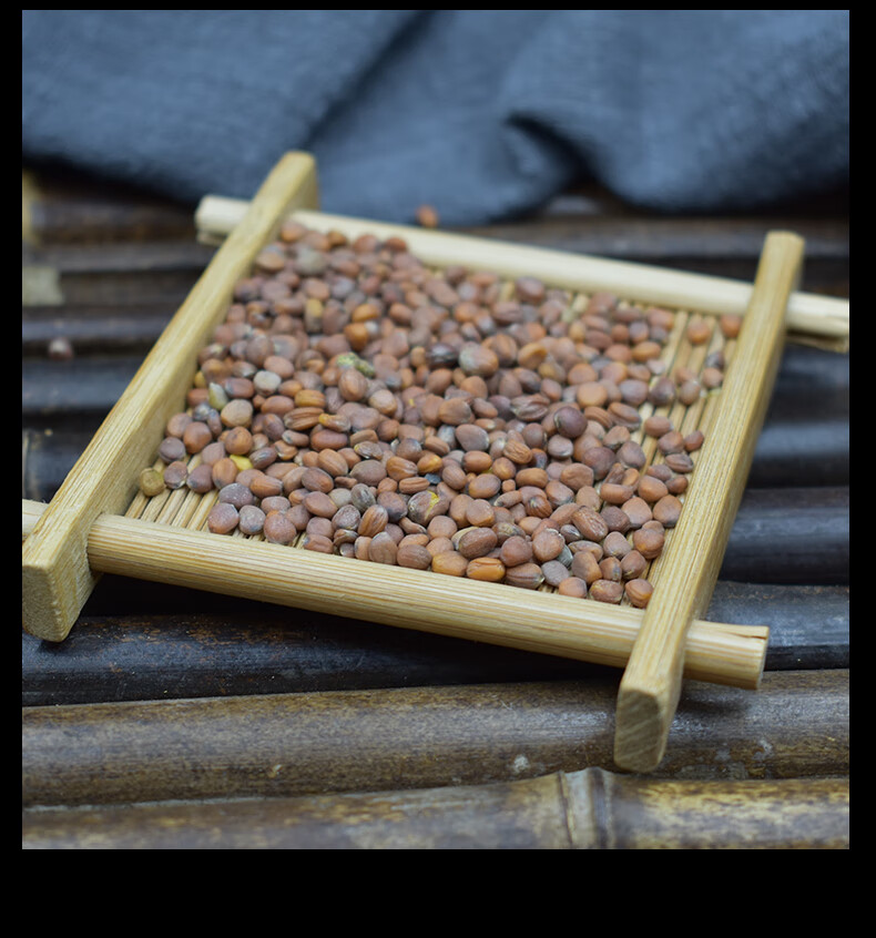 莱菔子500g白萝卜籽可炒莱菔子粉新货莱菔子茶可搭配白芥子紫苏子