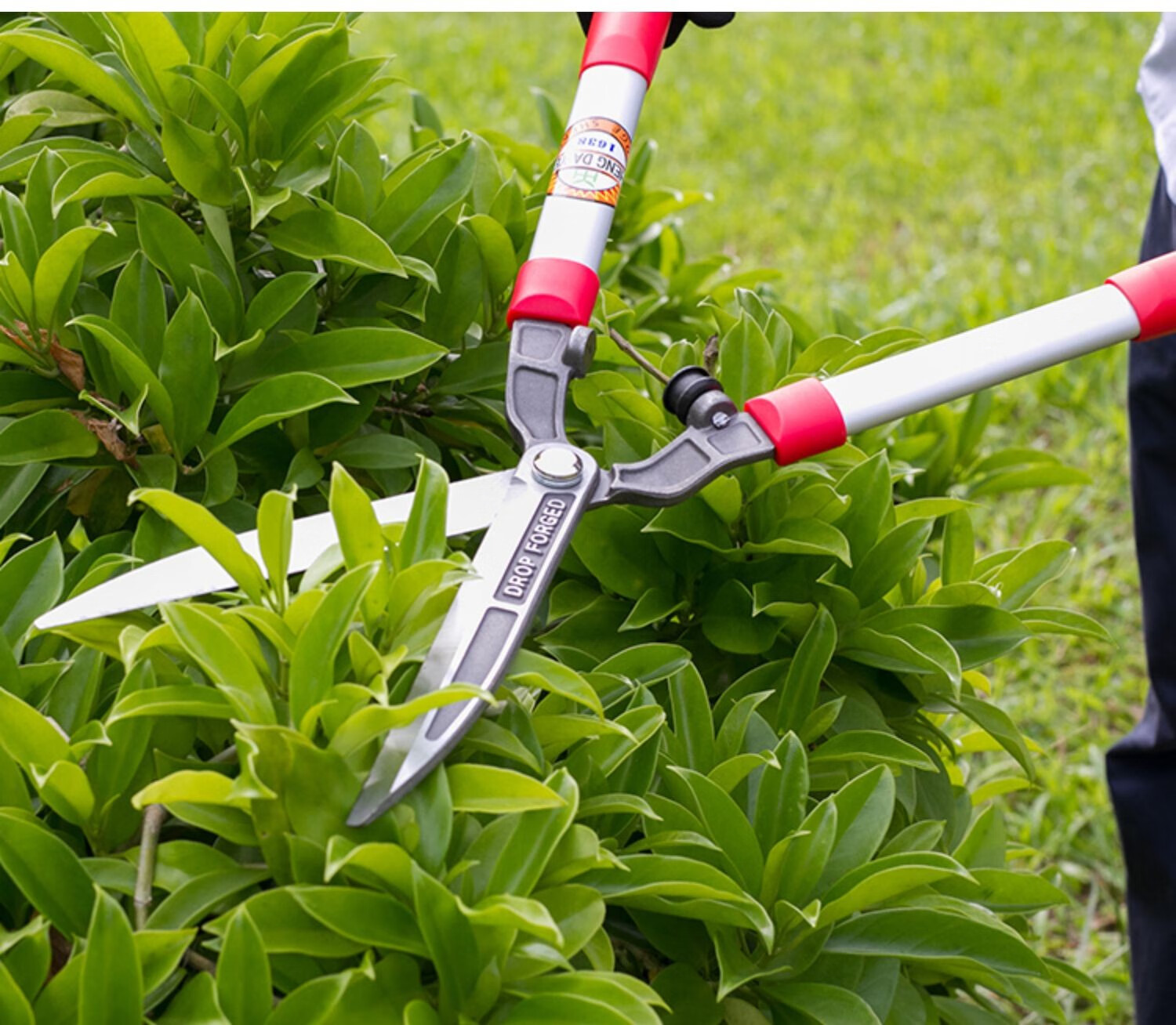 花木修剪刀 家用园林绿化花木修剪刀园艺剪刀绿篱剪大树枝修枝剪篱笆