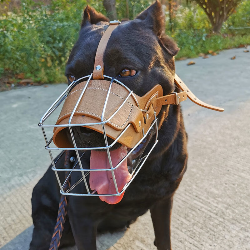 【京选推荐】狗嘴套狗口罩卡斯罗杜高罗威纳大型犬铁嘴罩高加索藏獒防