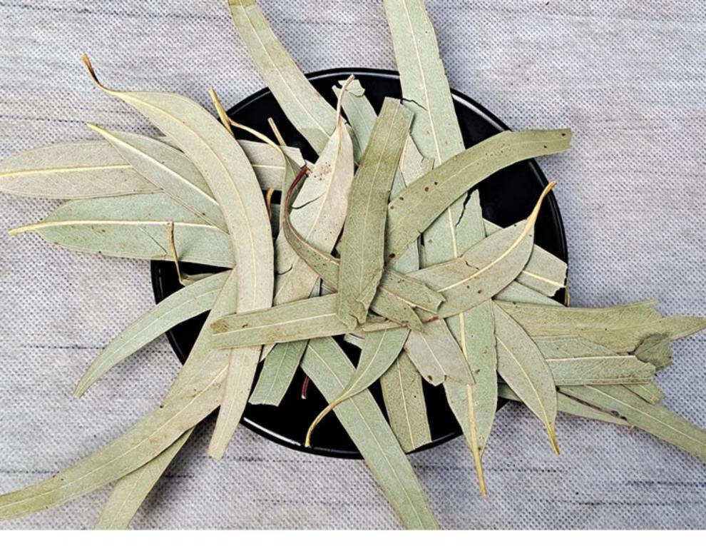 桉树叶粉500g现磨纯桉叶粉中药材小桉树大叶按树叶粉尤加利叶子