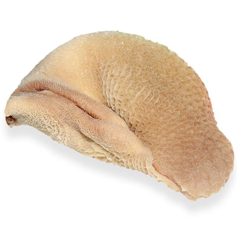 牛肚内蒙古草原黄牛肉熟5斤装新鲜动物内脏爆炒丝冷冻商 整个熟羊肚/5