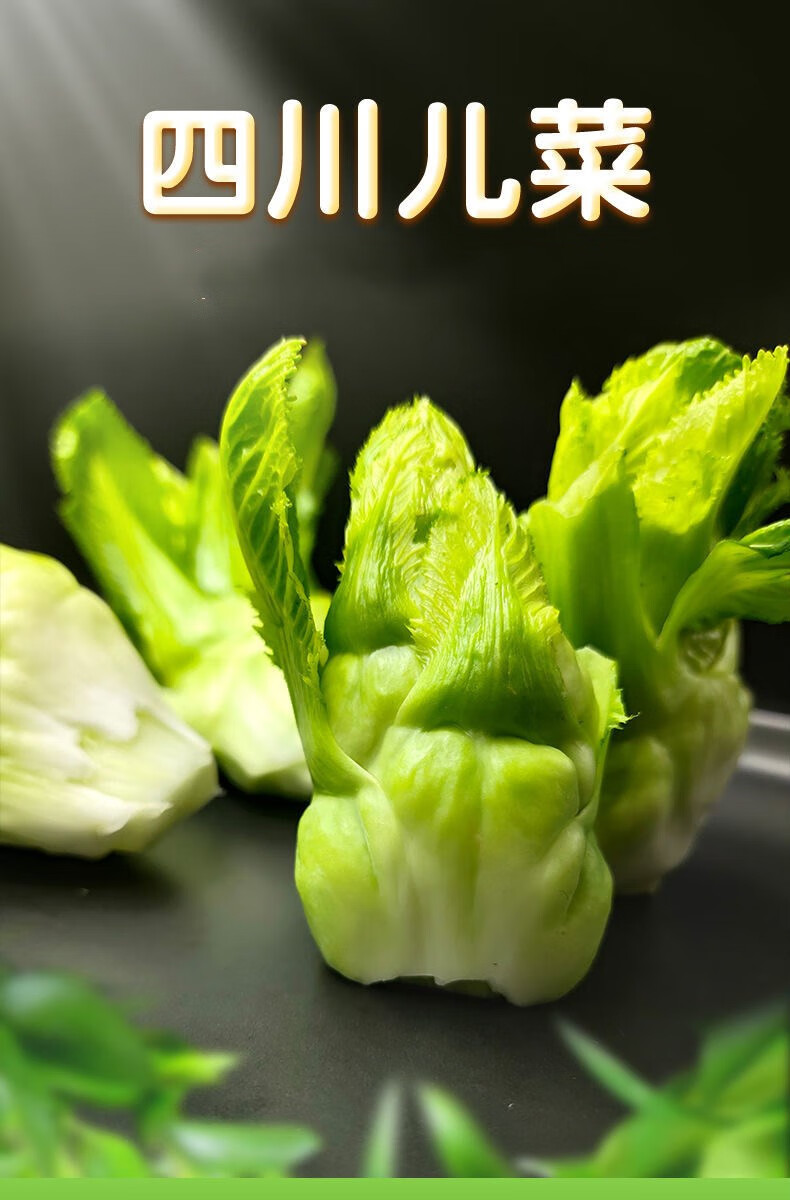 四川儿菜 新鲜娃娃菜母子菜抱儿菜芥菜小儿仔疙瘩菜 泡菜咸菜原料团建