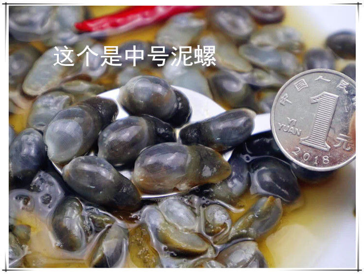 丹东特产正宇泥螺黄泥螺醉泥螺王泥溜子即食罐装新鲜活6瓶中号