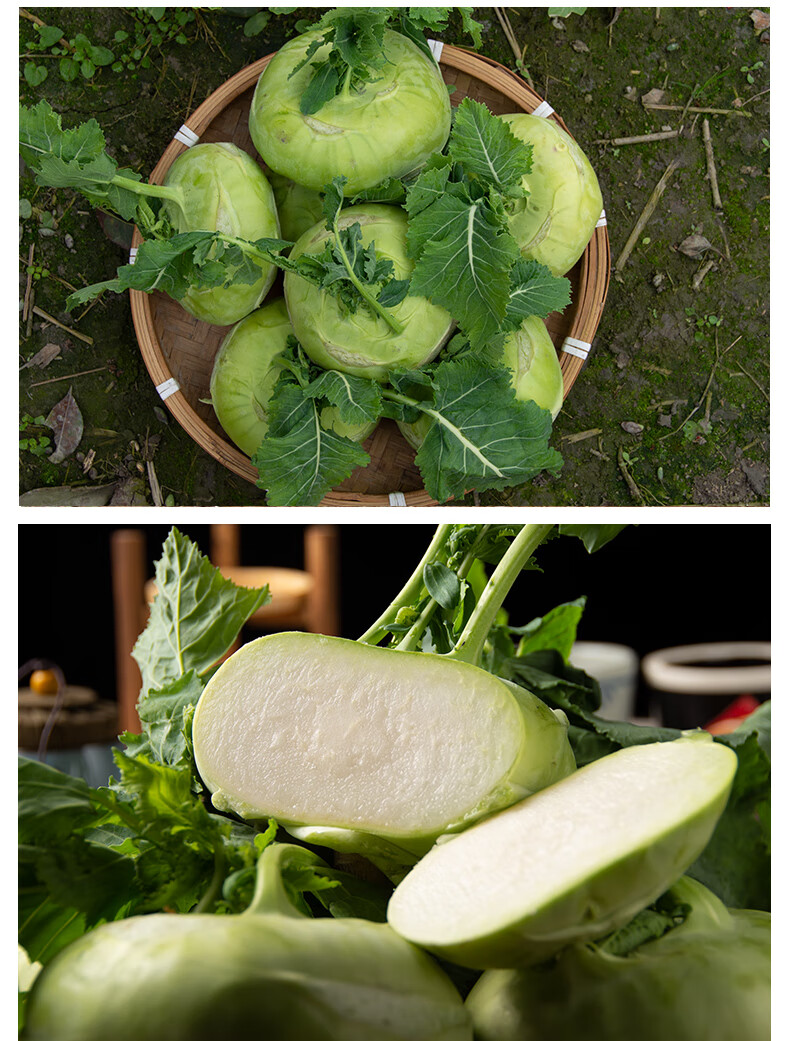 新鲜苤蓝脆嫩疙瘩大芥菜鲜疙瘩菜土苤茄莲芥蓝大头菜蔬菜 5斤