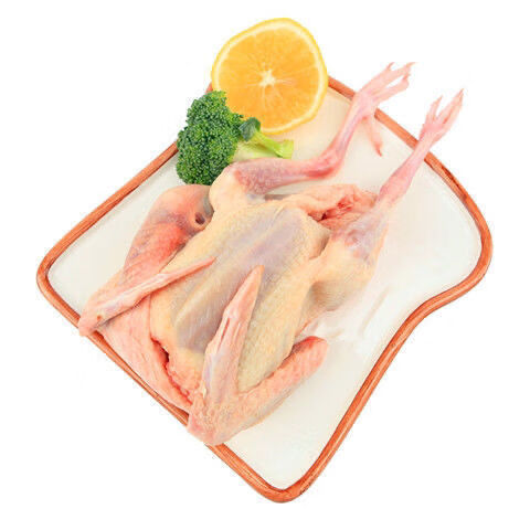 棠鲜生新鲜乳鸽农家老鸽子现杀脆皮乳鸽子肉滋补鸽子汤真空包装乳鸽二