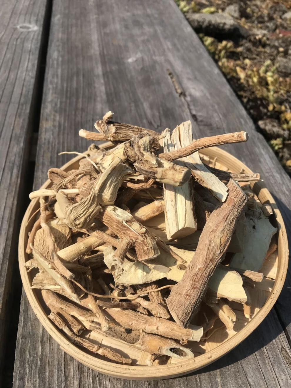 南昆深山倒吊王黄花倒水莲黄花大远志观音串黄花参500g【图片 价格