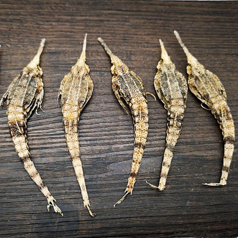 海麻雀干海燕海燕子10g100g海产品干货煲汤泡酒品10克约8只海麻雀