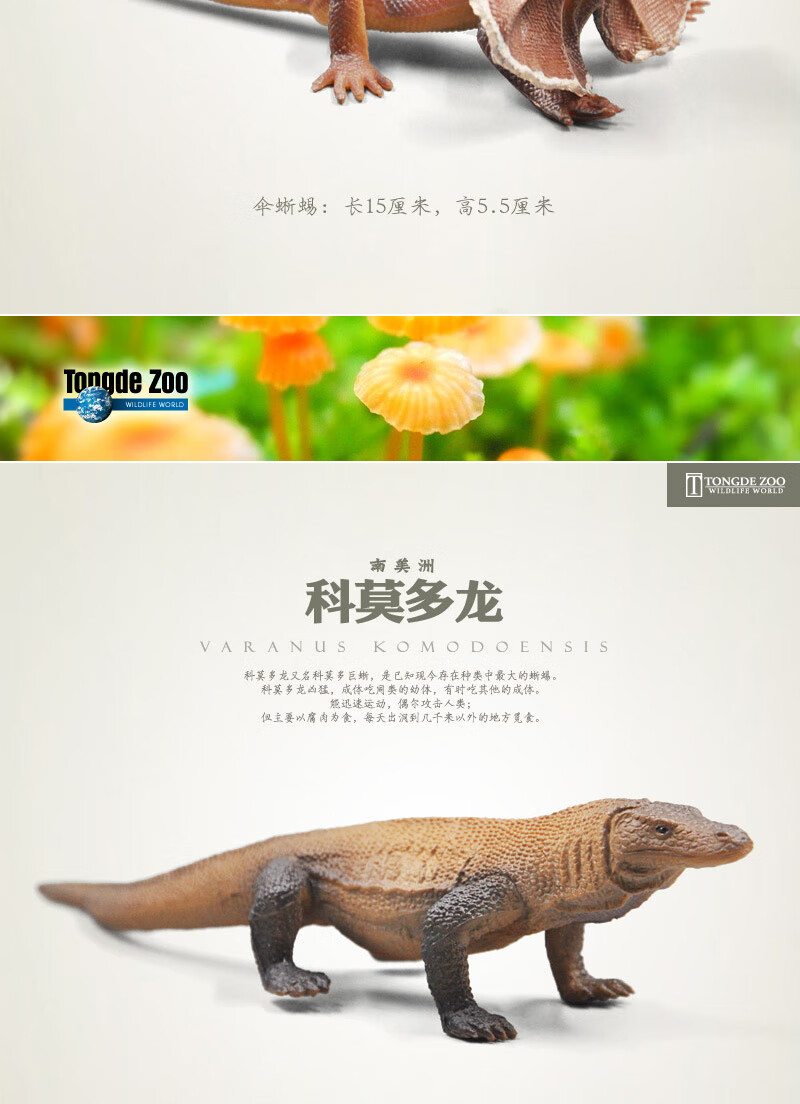 仿真昆虫模型儿童玩具动物蝴蝶蜜蜂蝎子蚱蜢螳螂蜻蜓蜘蛛蜥蜴松狮蜥蜴 图片价格品牌报价 京东