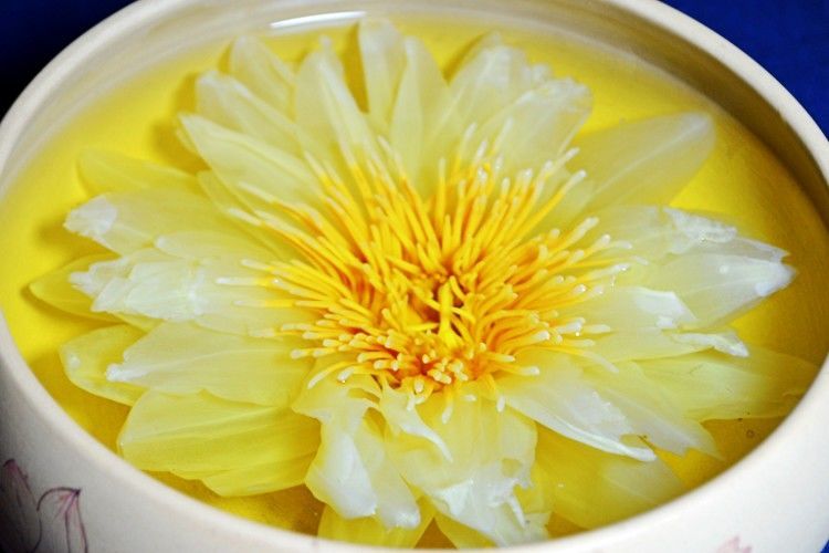 莲花茶观音金莲花香水莲花茶九品香莲茶单朵花片10赠1鲜花茶官方直营t