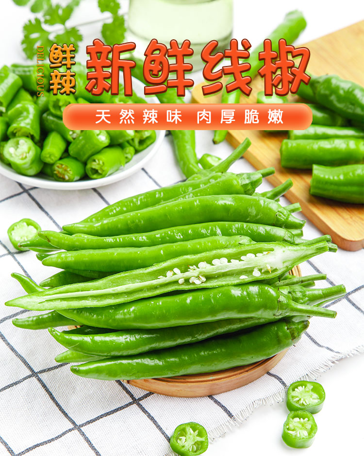 新鲜线椒青辣椒5斤农家自种现摘长尖椒朝天小米椒泡特产蔬菜 2500g