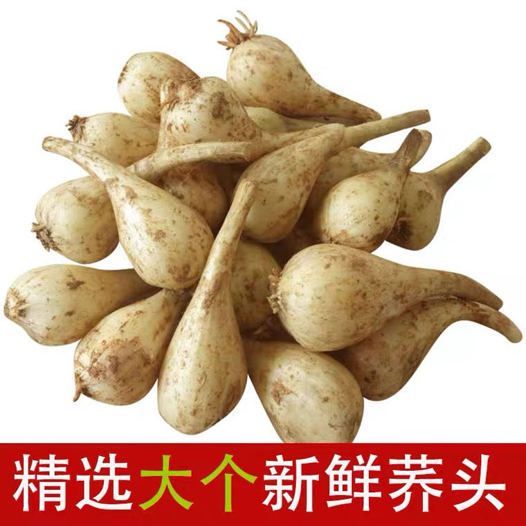 无根无叶湖南农家葱头教头荞子泡菜凉拌菜 1500g无叶无根【图片 价格