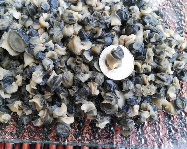 手工挑选淡水洪泽湖新鲜田螺肉螺蛳肉螺丝肉现抓 3斤装 小螺蛳肉