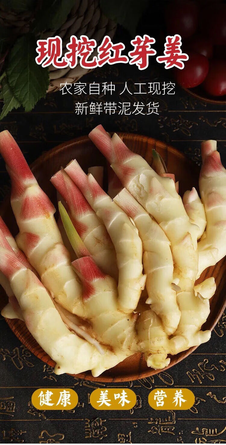 新鲜现挖鲜姜嫩姜5斤农家自种红芽可糖醋泡姜新鲜嫩仔姜月子姜嫩姜5斤