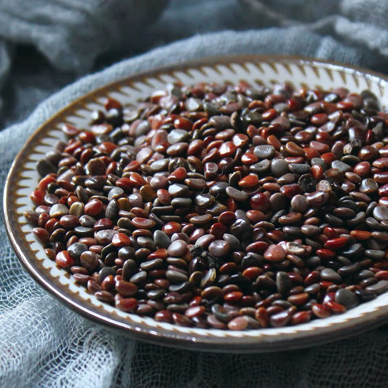 枳椇子茶拐枣籽枳具子万寿果鸡爪梨枳具子只椇子品枳椇子250克