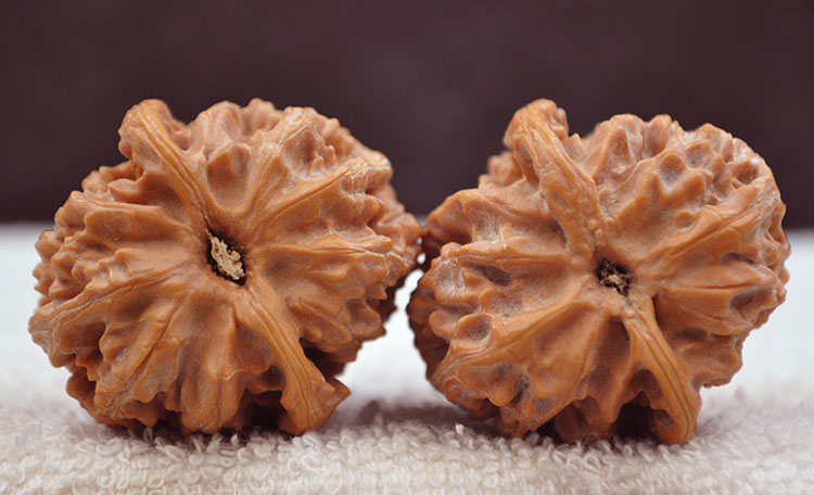 览日鸟新品文玩核桃把玩核桃小尺寸四座楼狮子头官帽苹果园秋子精品小