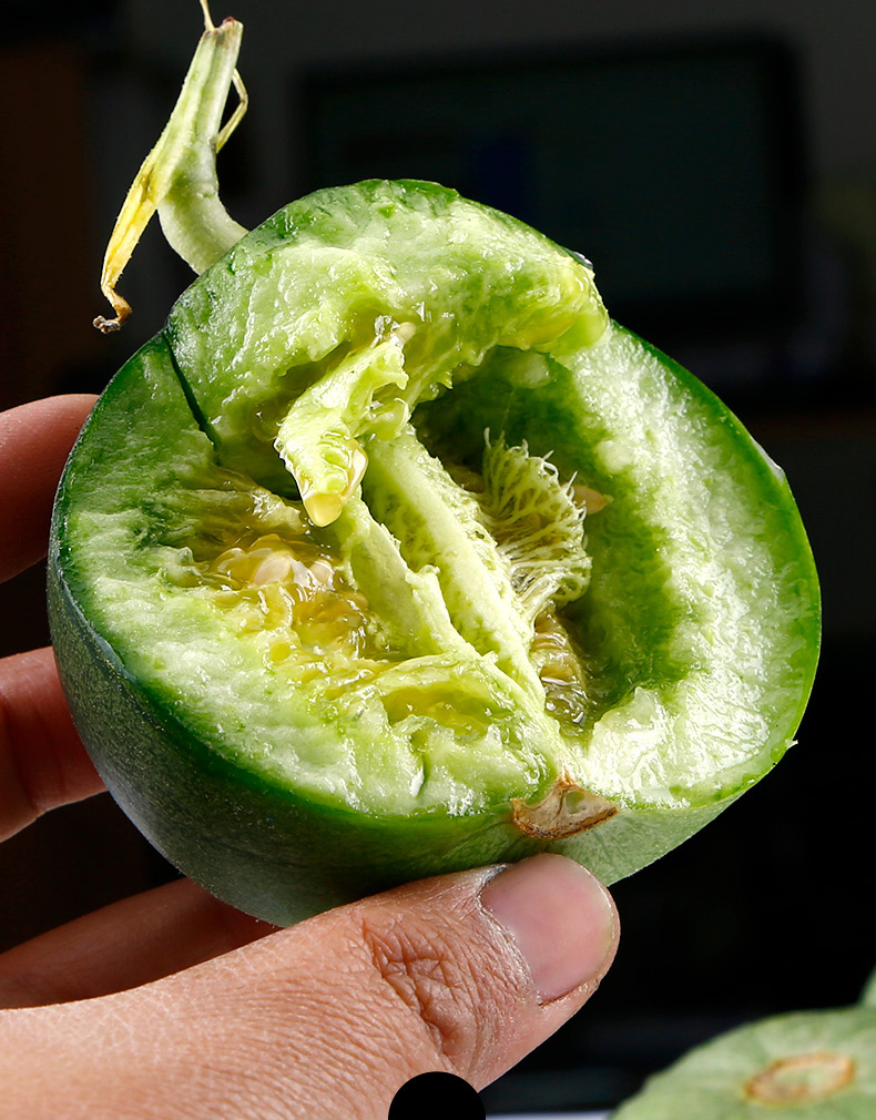 新鲜现摘当季水果绿宝石甜瓜绿宝小香瓜绿宝瓜5斤