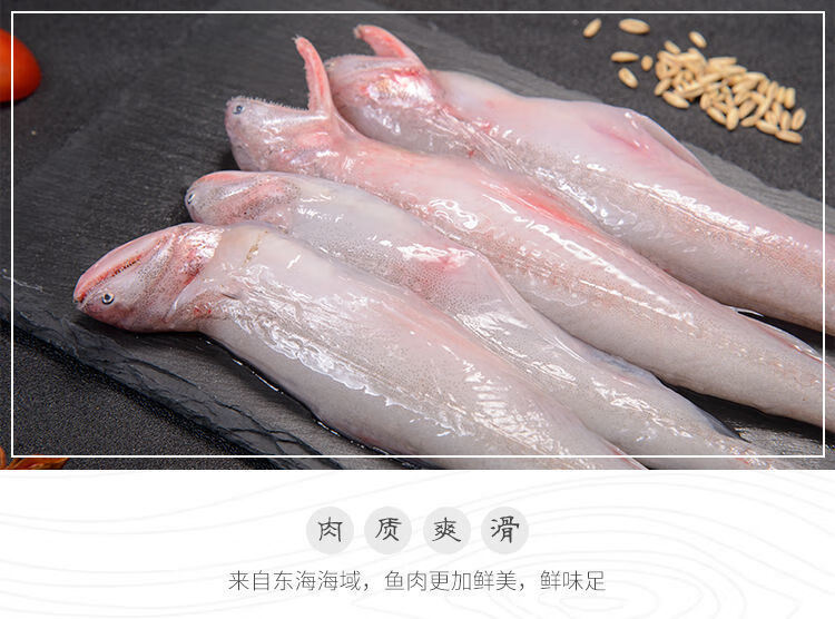 顺丰直达豆腐鱼新鲜九肚鱼龙头鱼鲜活冷冻丝丁鱼水潺海鲜水产批发顺丰
