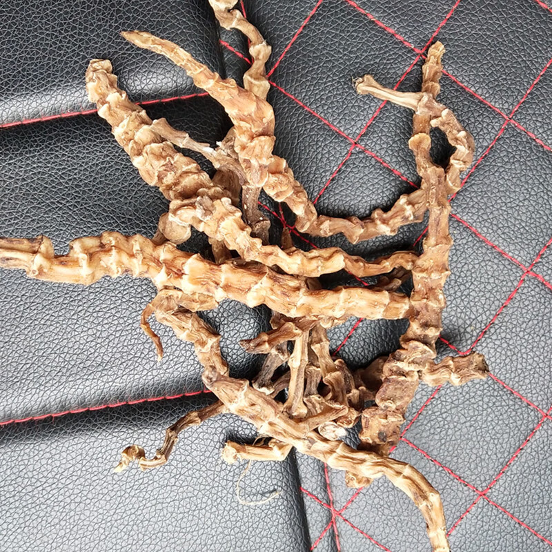 云南虫草参 中药材 地参 新鲜干货地龙菜煲汤泽兰根 新货500g