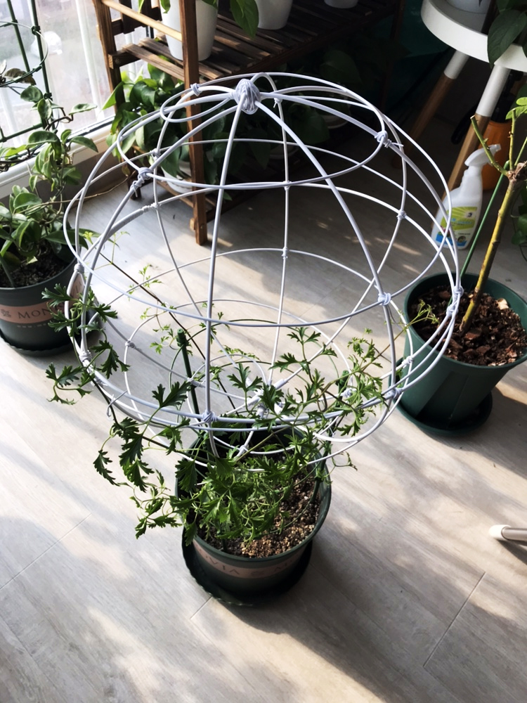 花卉防倒支架造型铁丝手工diy铁线莲花架养花支撑棍月季植物绑花扶枝