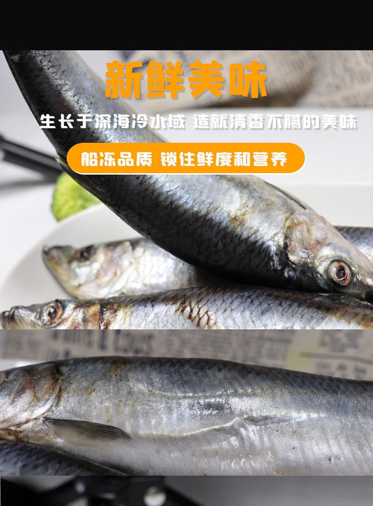 順豐直達青佔魚新鮮海鮮沙丁魚10斤深海冷水魚海捕青魚排魚1斤冷凍青