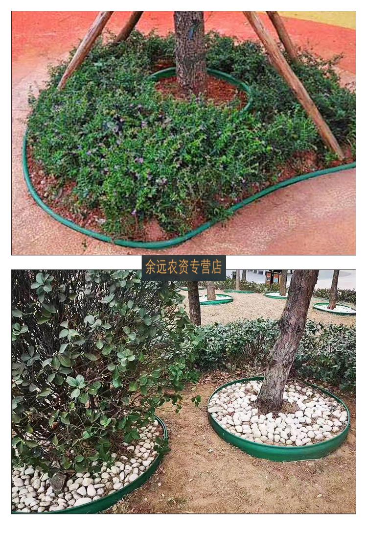 树池围圈园林绿化草石隔离带花草分隔带隔根板挡土板隔根层花园草坪隔