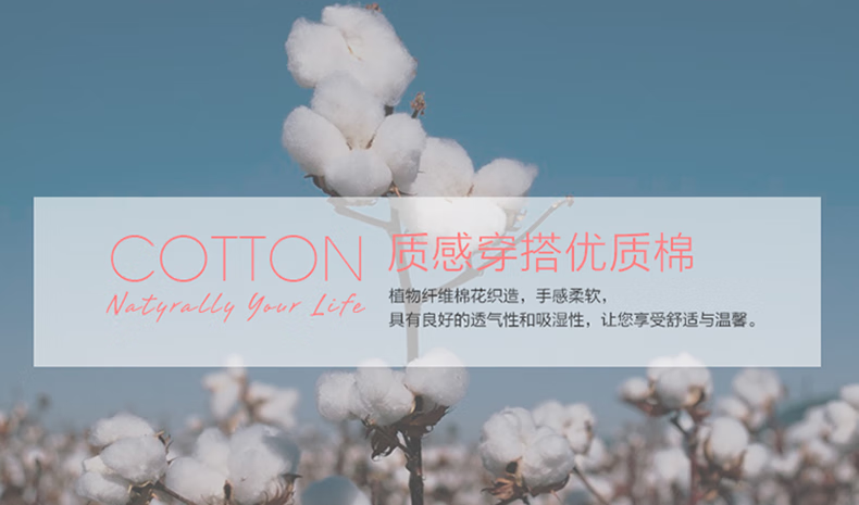 be87614ea694a16d.png