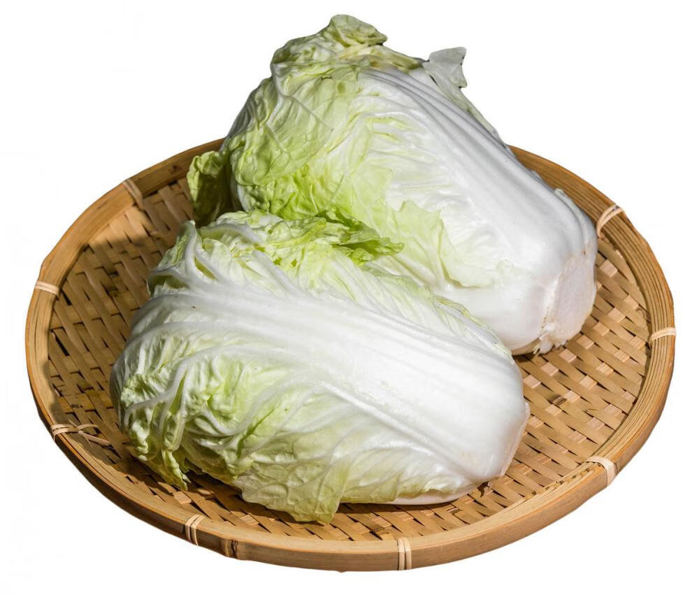 陕西新鲜大白菜时令鲜蔬当季采摘产地批发整箱农家肥露天自种10斤精品