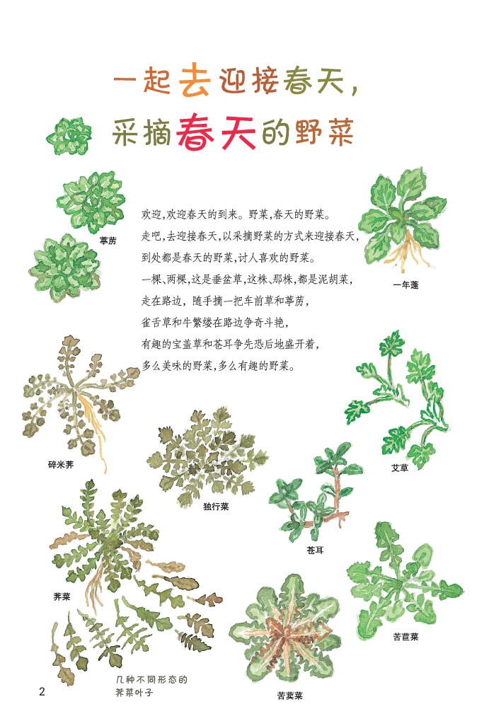 恩熙著韩国春夏秋冬四季亲子户外游戏锻炼孩子创作力动手能力正版书籍