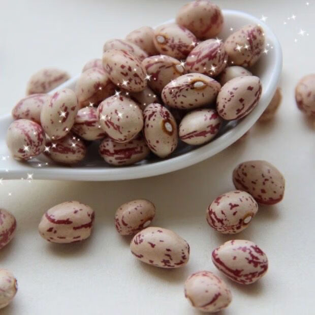 呛仓新品雀蛋豆新货贵州特产大雀蛋豆贵州花生豆豆类奶花豆杂粮新豆子