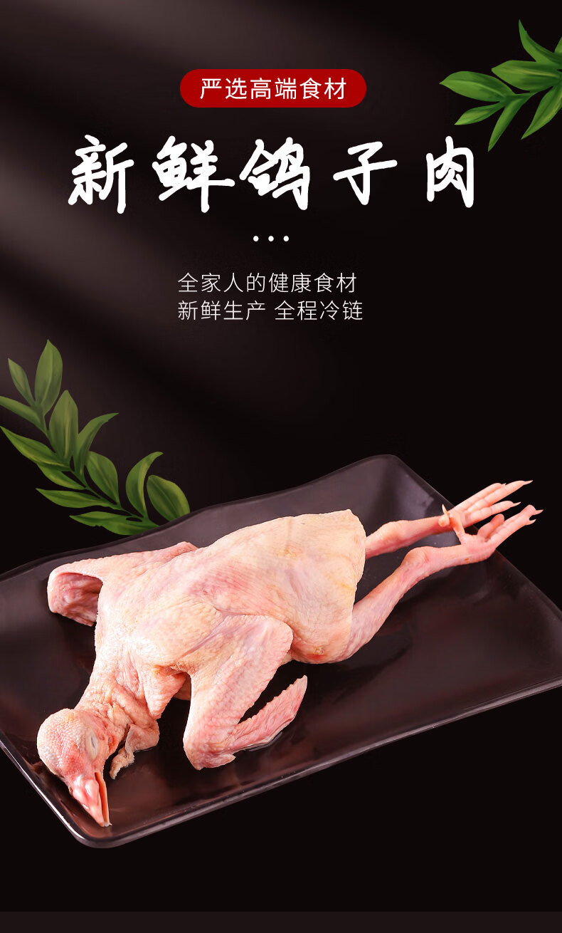 新鲜鸽子肉乳鸽3只生鲜冷冻农家散养土鸽子煲汤活体现杀顺丰【图片