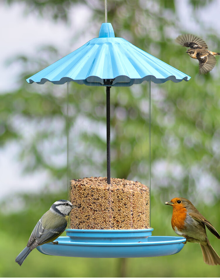 慈悲布施食用具金属喂鸟器外阳台户外花园悬挂式防水喂食器cw3117c
