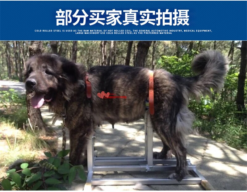 藏獒配种支架配狗架适用各种大中型犬猛犬斗狗配种加重型中型偏小犬