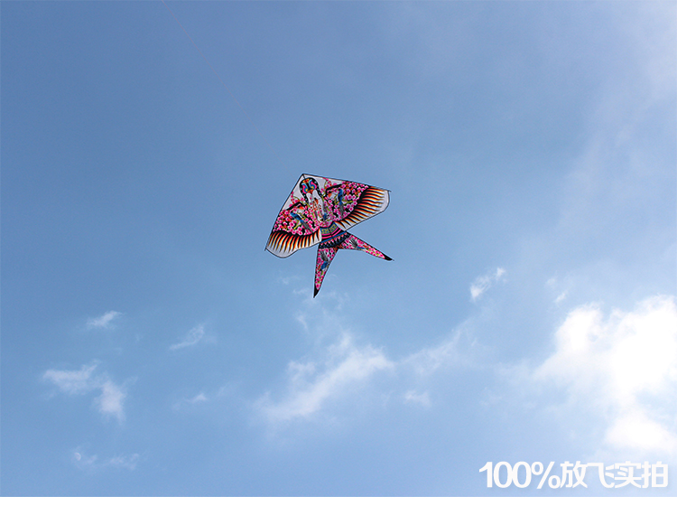 大型风筝潍坊风筝沙燕风筝大型风筝微风易飞成人儿童卡通好飞保飞网红