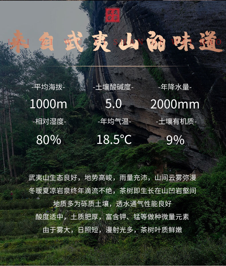 燕子窠山场简介图片