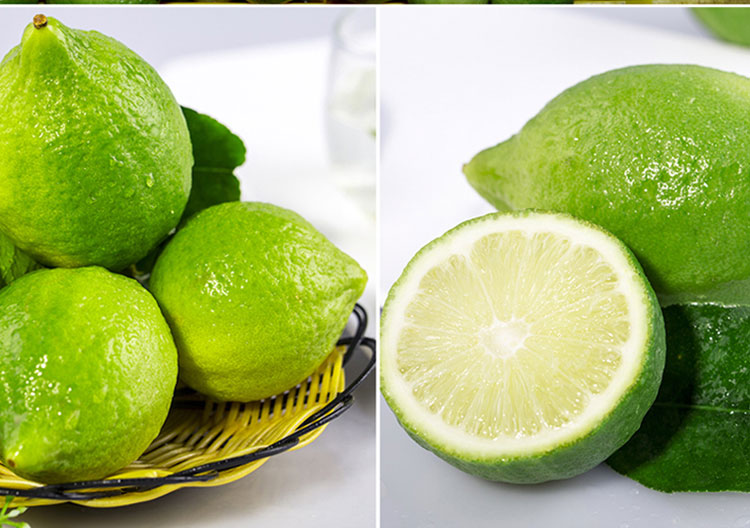 广东香水柠檬无籽新鲜皮薄多汁精选一级青柠檬果园现摘奶茶店专用 100