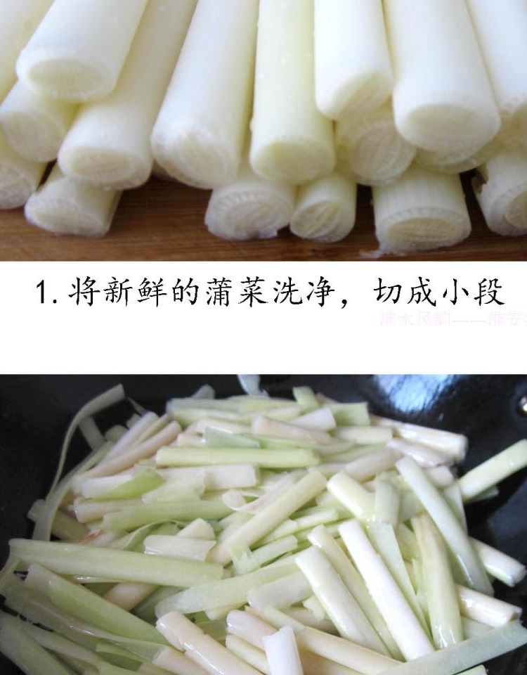 蒲菜4月份新鲜时令野菜茭白淮安特产蒲笋蒲儿菜净菜500克酒店 1000g