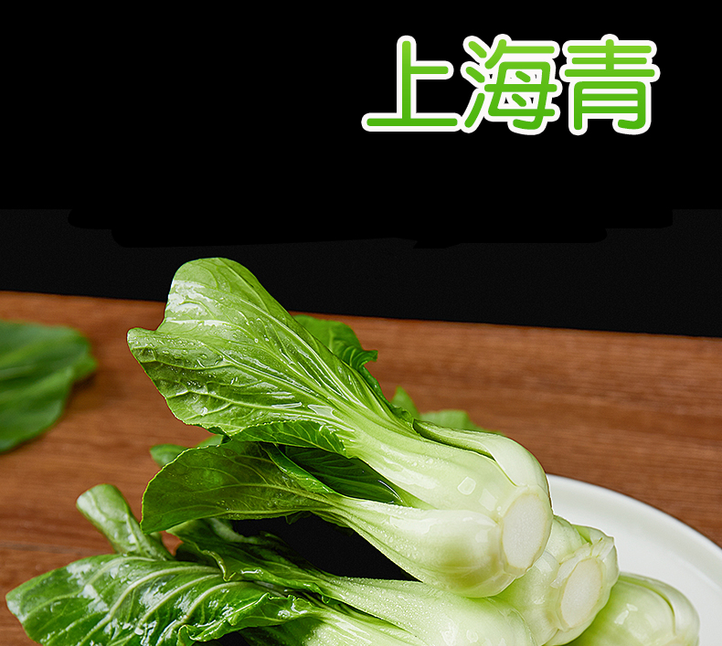 上海青 时令应季青菜新鲜蔬菜 当季小青菜翠绿鲜嫩 2500g