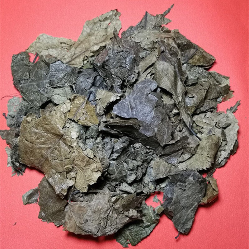 5aea2bf44de7db93.jpg