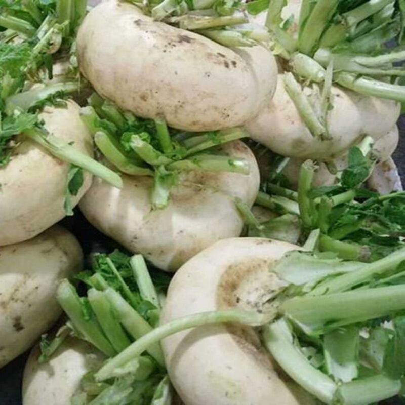5斤装江西永丰特产菜基农家新鲜盘菜扁萝卜饭店酒店食材