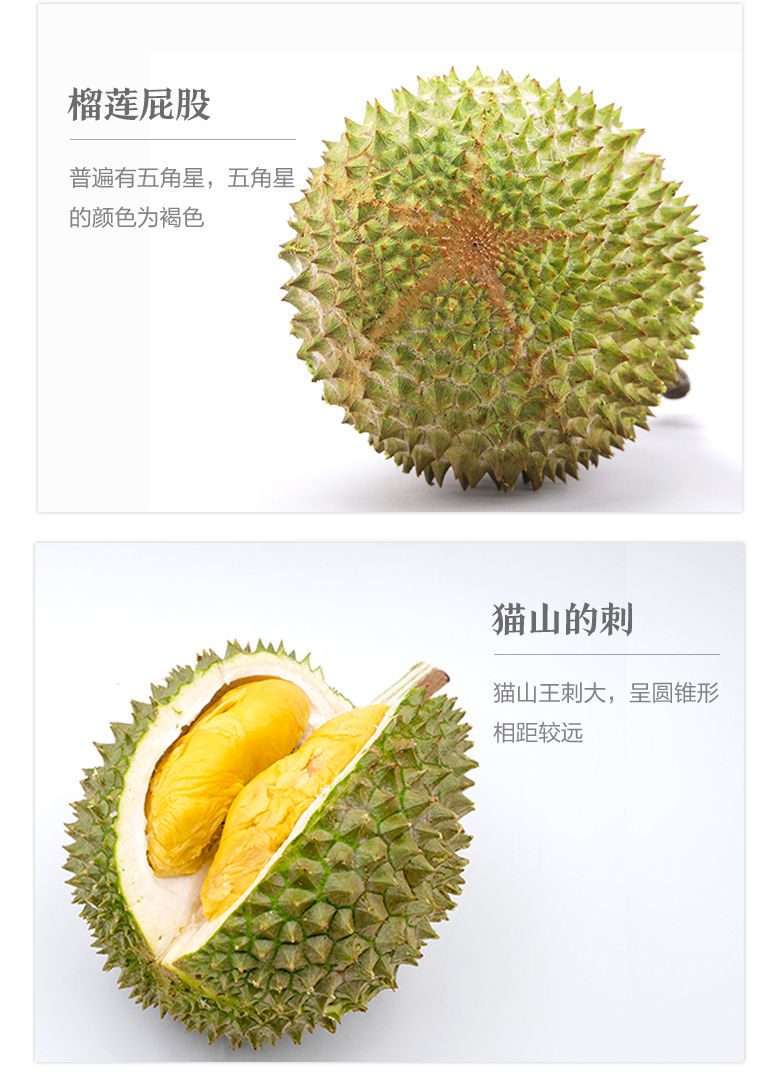 马来西亚猫山王榴莲d197黑刺低标准4斤以上不做小果只做大果加大果