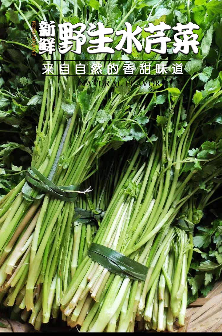 東北特產水芹菜小葉健康農家野菜新鮮蔬菜湖南種苗根特產5斤紙箱裝