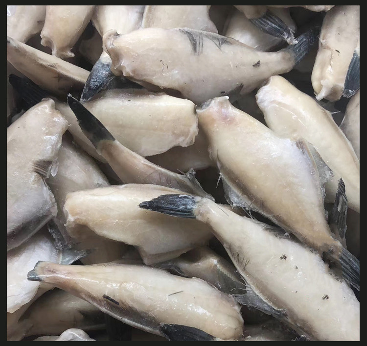 果亦橙jd物流新鲜冷冻耗儿鱼剥皮鱼三去马面鱼中号海鱼扒皮鱼300g海鲜