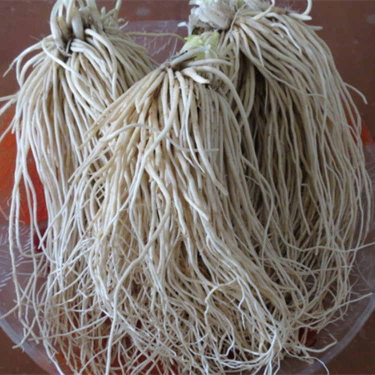 麻辣苤菜根云南普洱农家腌酸辣甜味撇菜韭菜根腌菜皮菜根下饭泡菜微